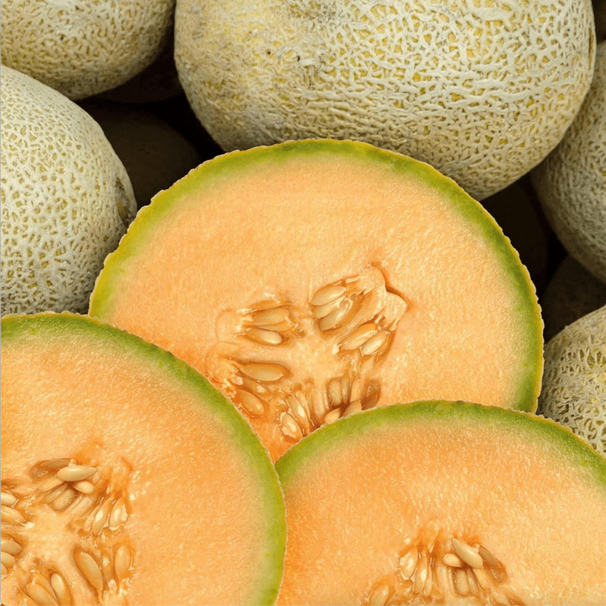 Melon Top Mark Sobre 1 Libra