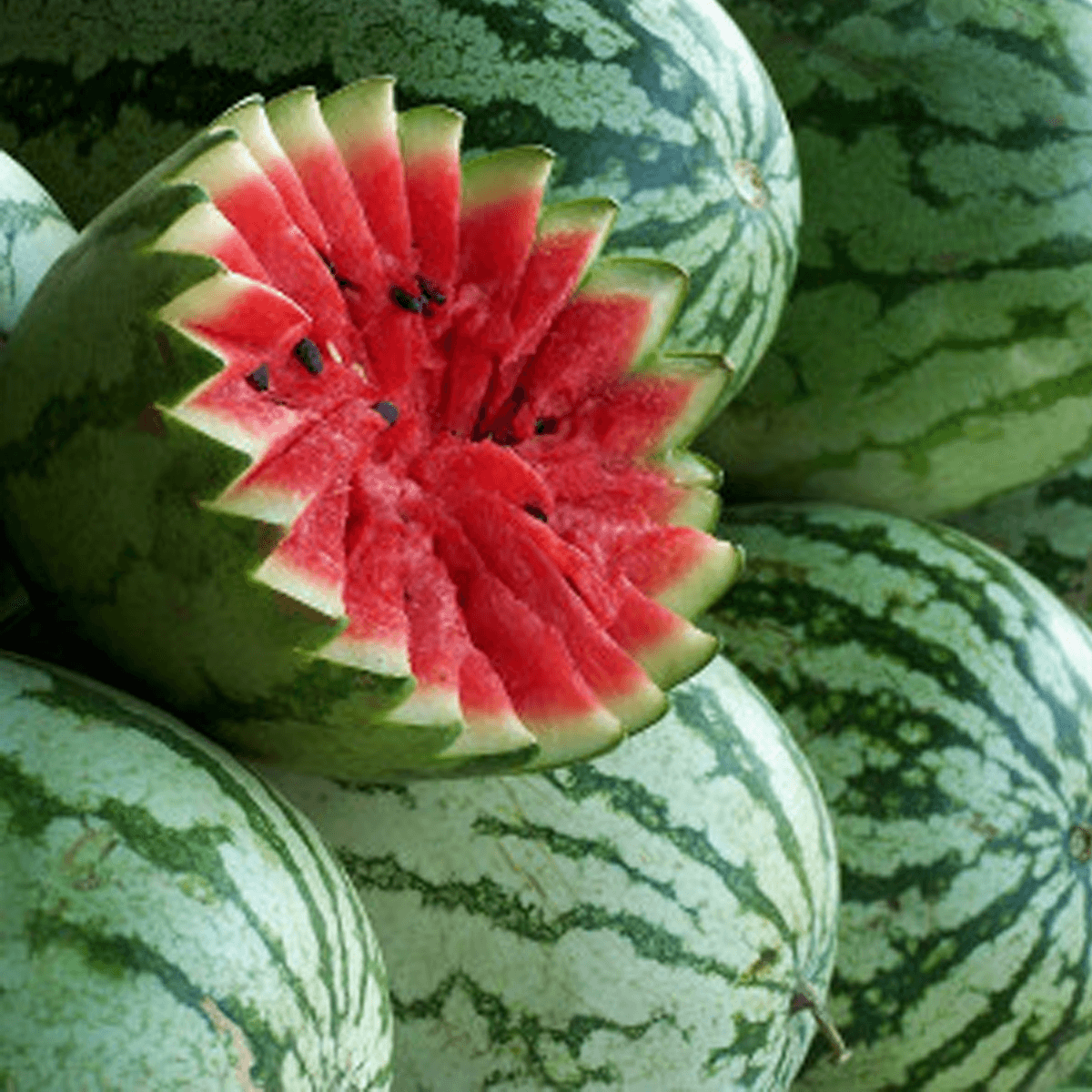 Sandía Jubilee Sobre 1 Libra