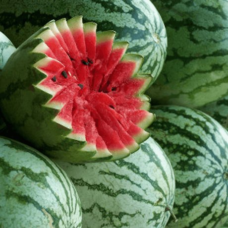 Sandía Jubilee Sobre  1 Libra