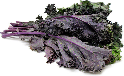 Kale Rojo Red Russian Curly 1 Lb