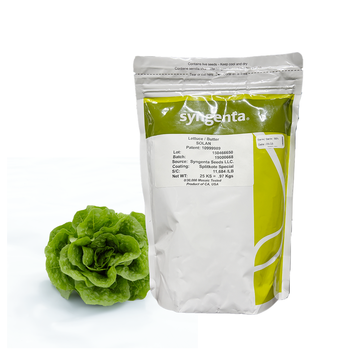 Lechuga Solan sobre 25 millares