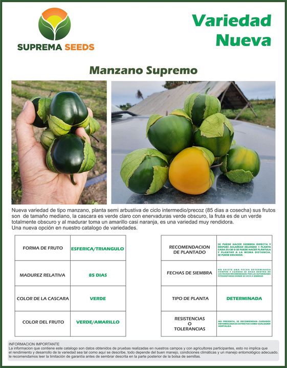 Tomatillo Manzano Supremo Sobre 100 millares