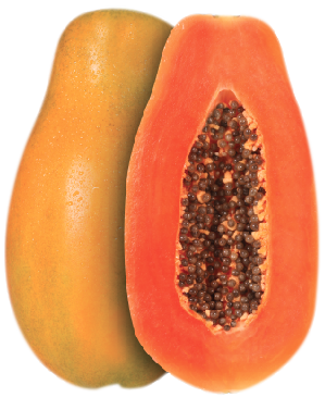 Papaya Maradol Sobre 2.5 millares sin tratamiento