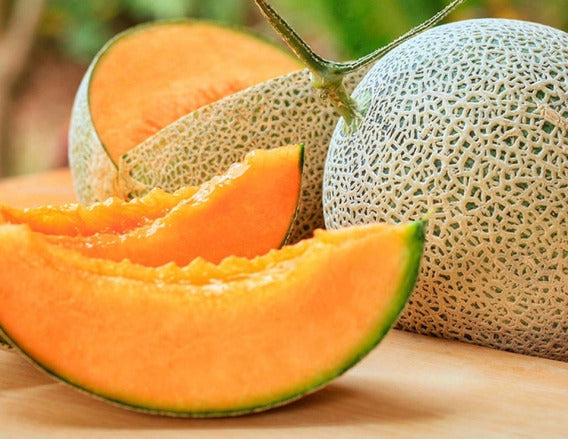 Melon Ovation Sobre 15 Millares