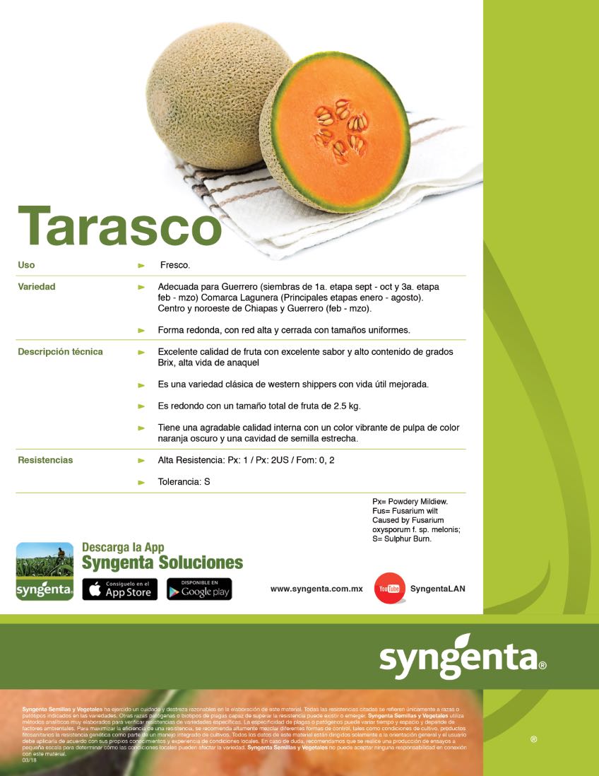 Melon Tarasco Sobre 15 Millares