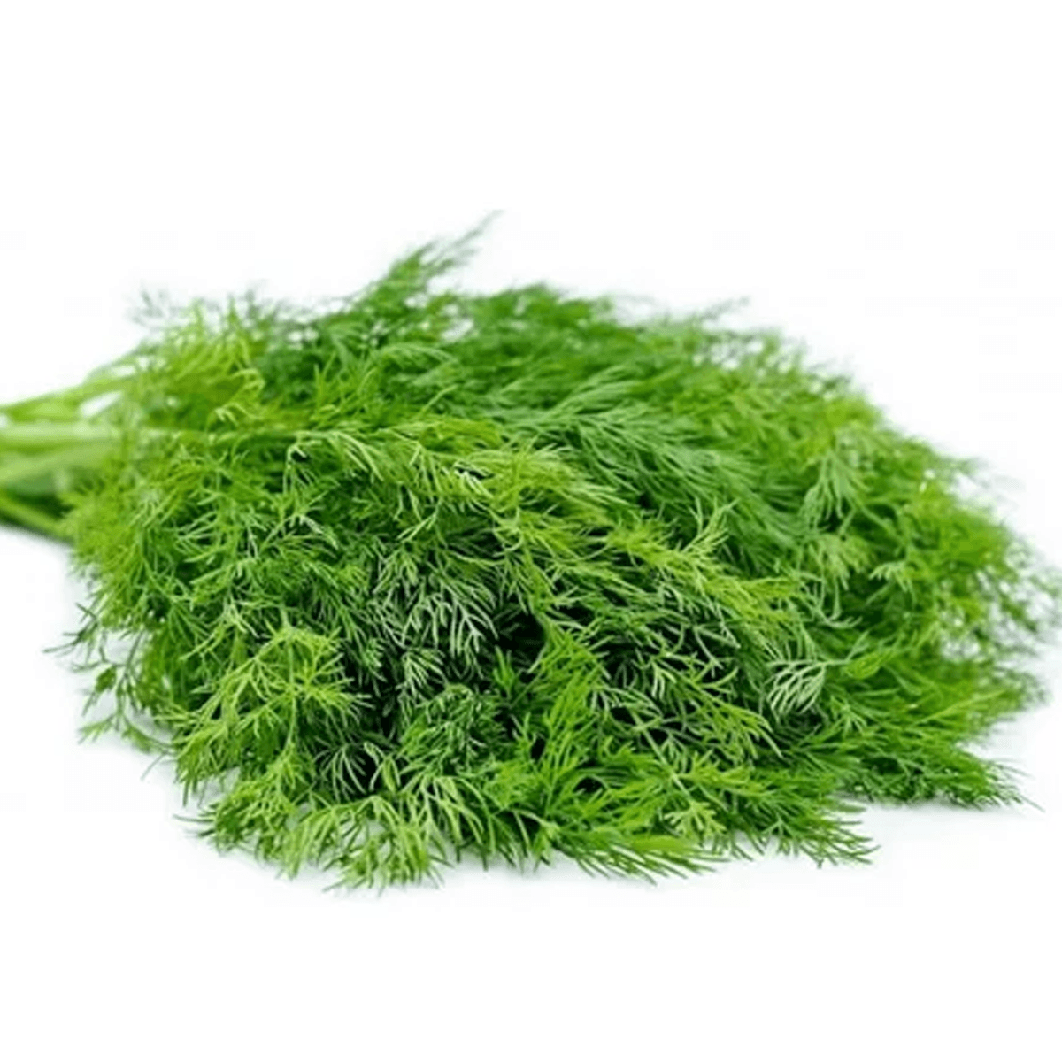 Eneldo Bouquet Saco 25 Lb