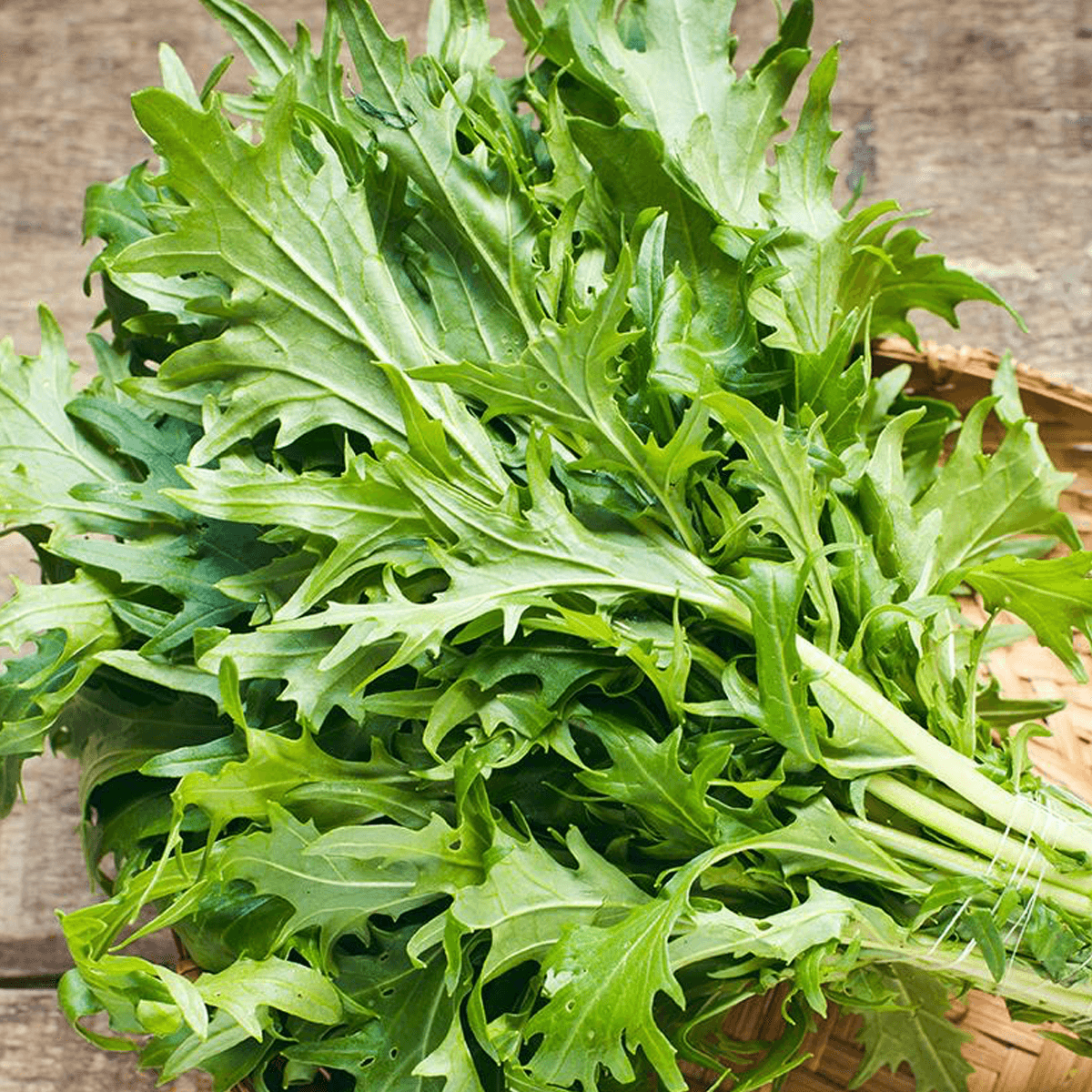 Mostaza Mizuna Sob 1 Lb