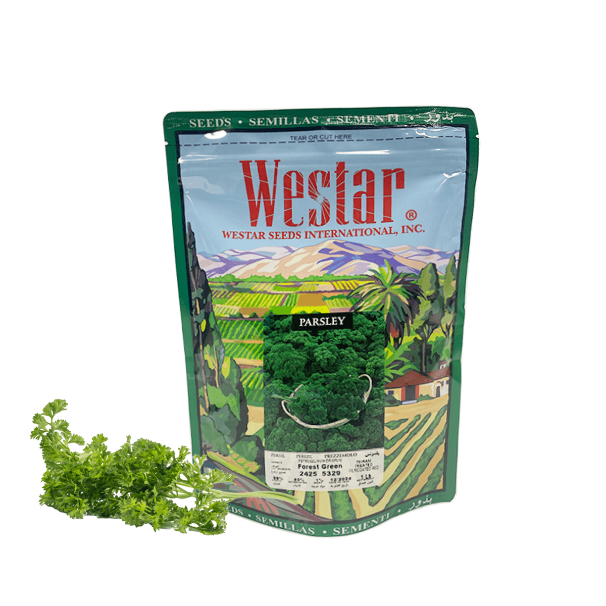 Perejil chino Forest Green  1Lb