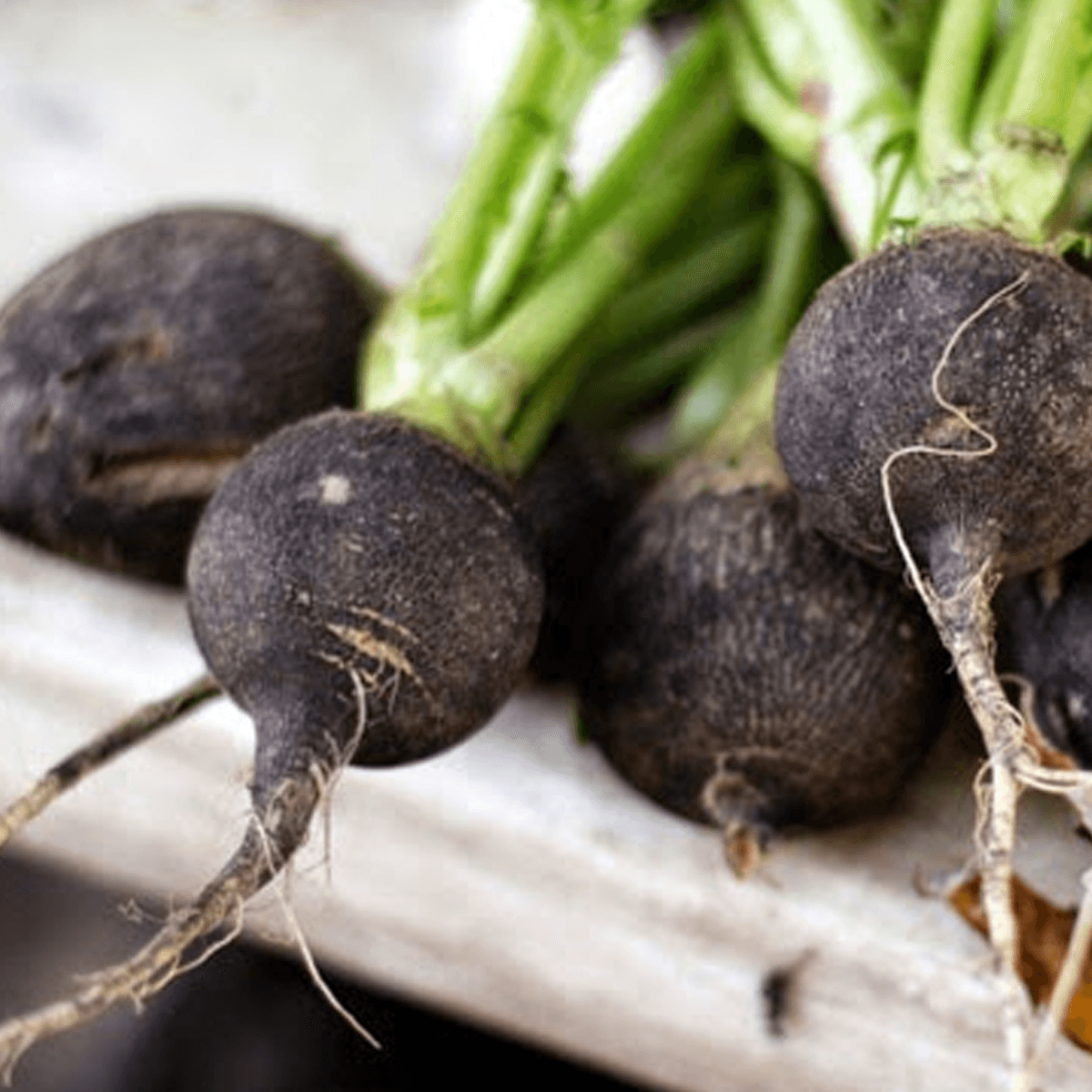 Rabano Negro Sobre 1Lb