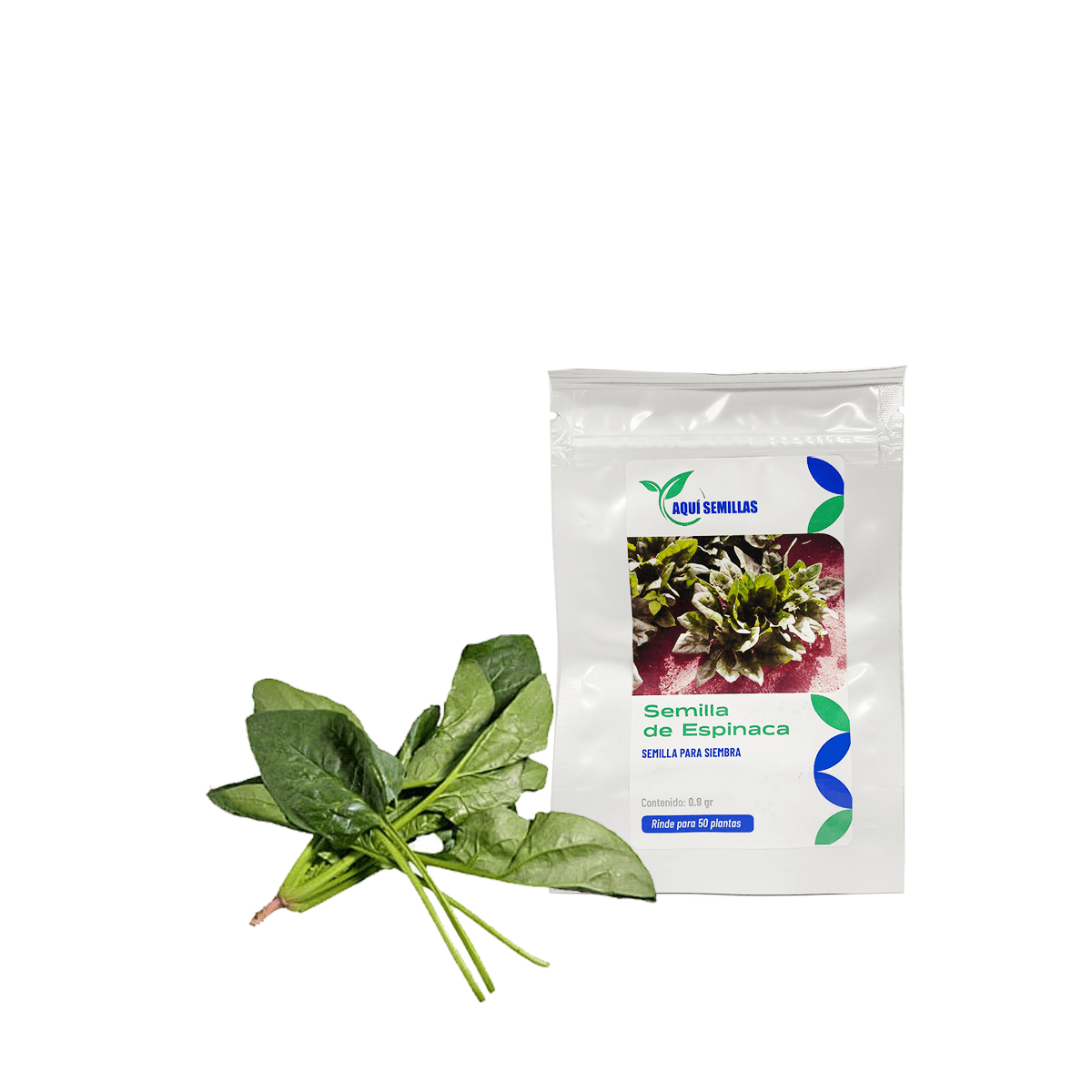 Espinaca Sobre 1.4 Gr