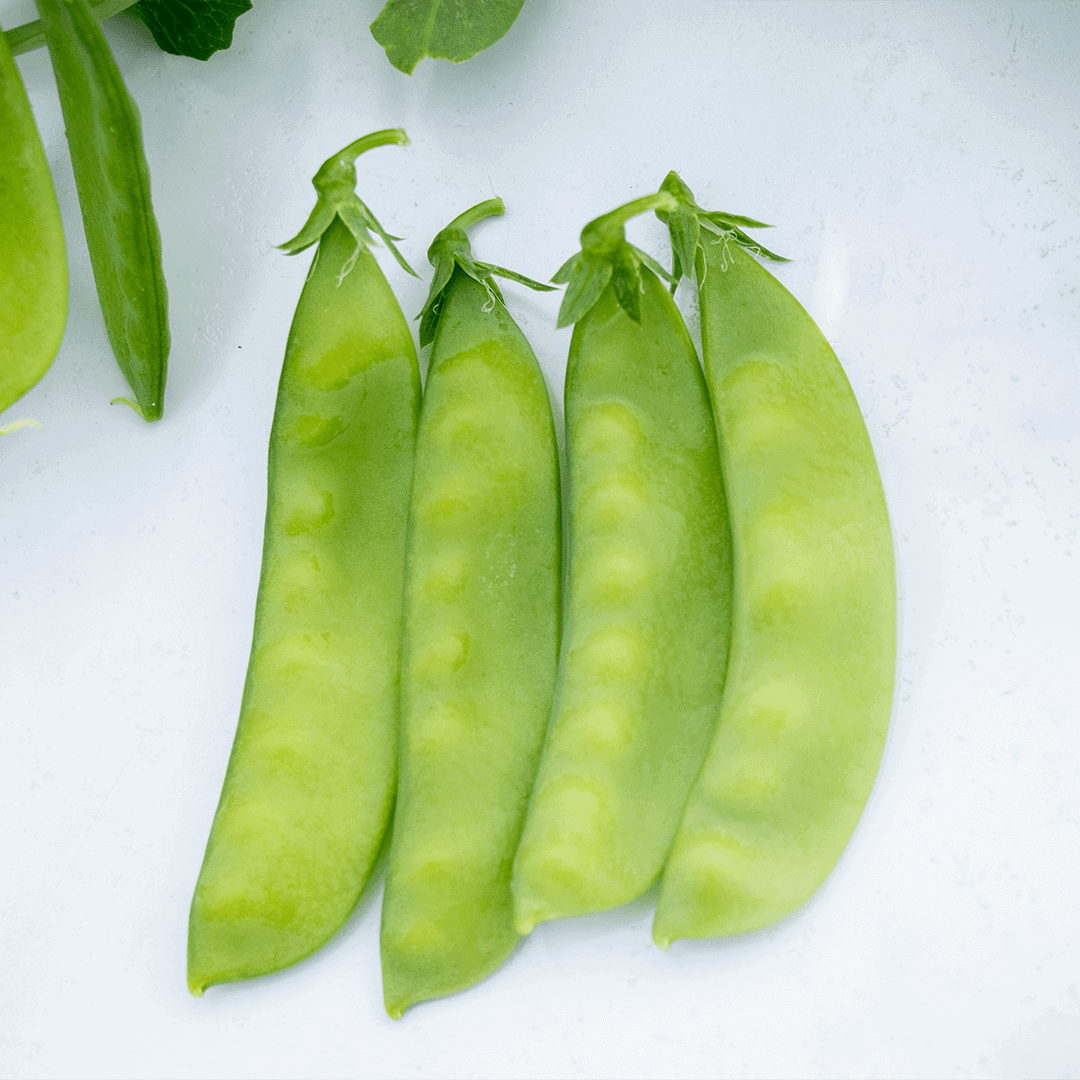 ChÍcharo OSP II Sac 50Lb