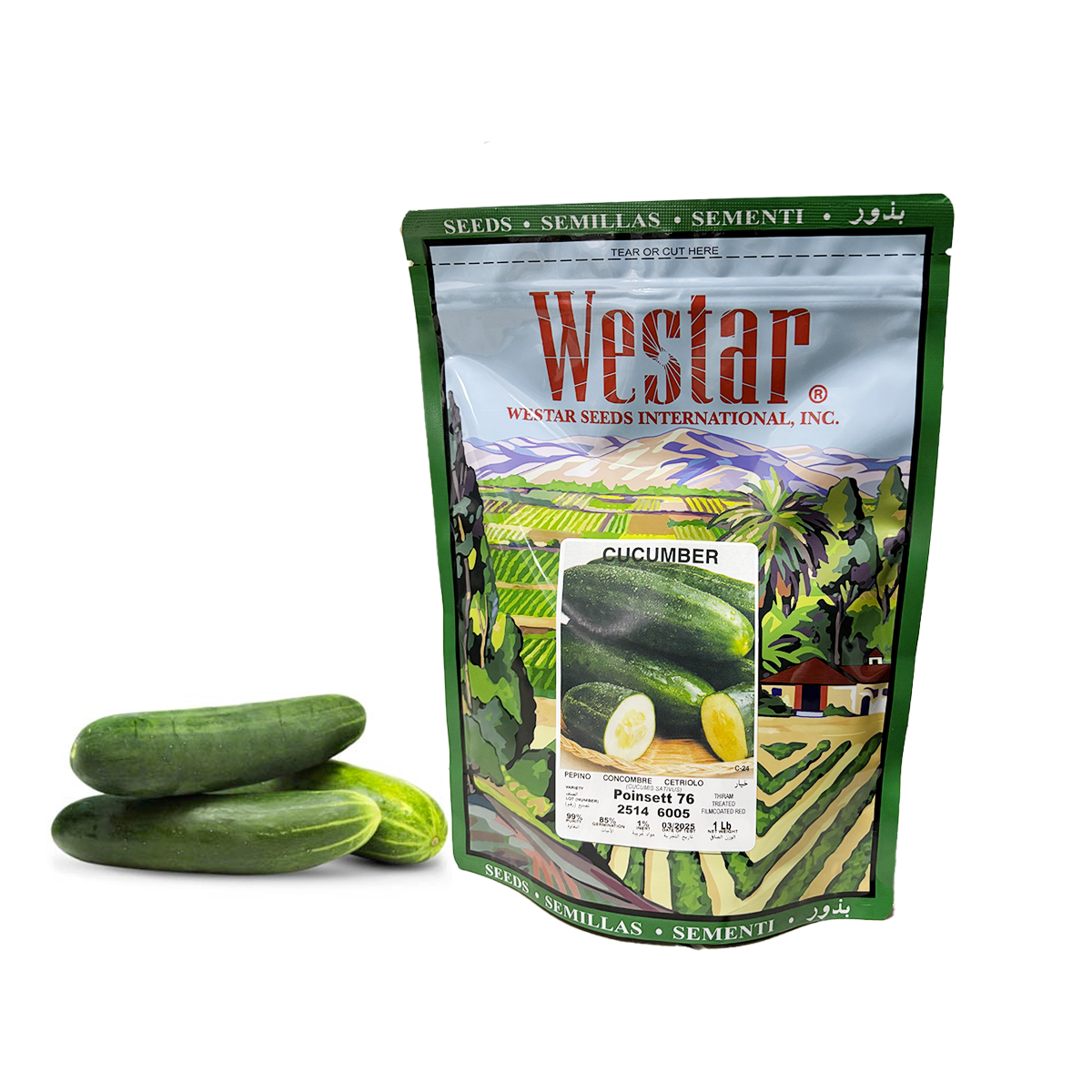 Pepino Poinsett 76 Sobre 1 Lb