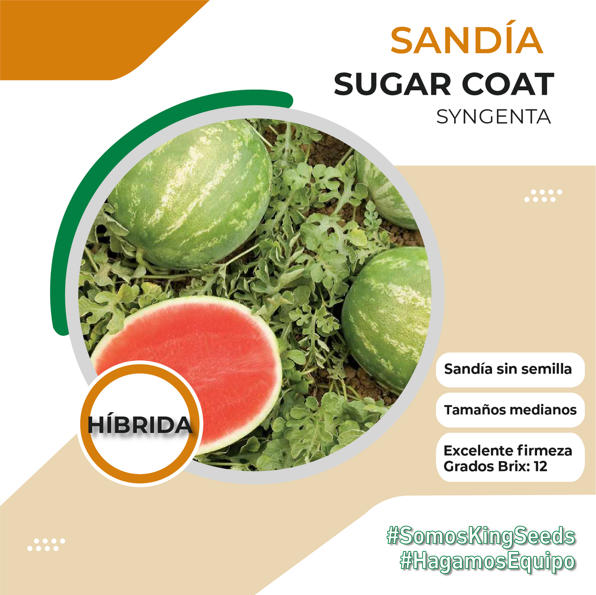 Sandia Sugar Coat Sobre 5 Millares