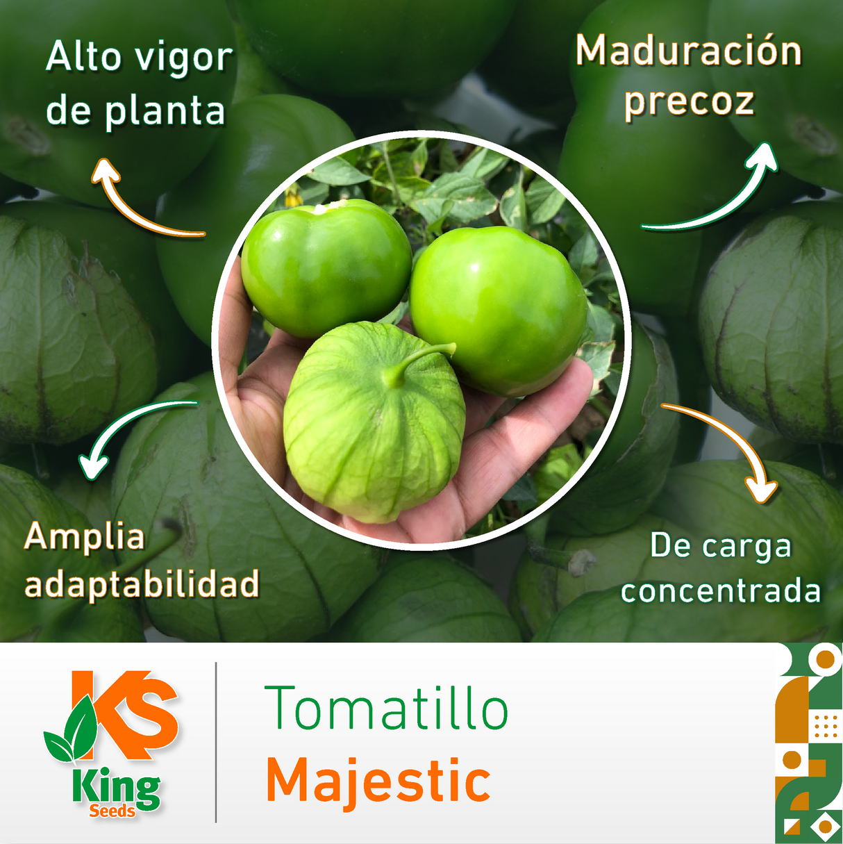Tomatillo Majestic Sobre 25 millares