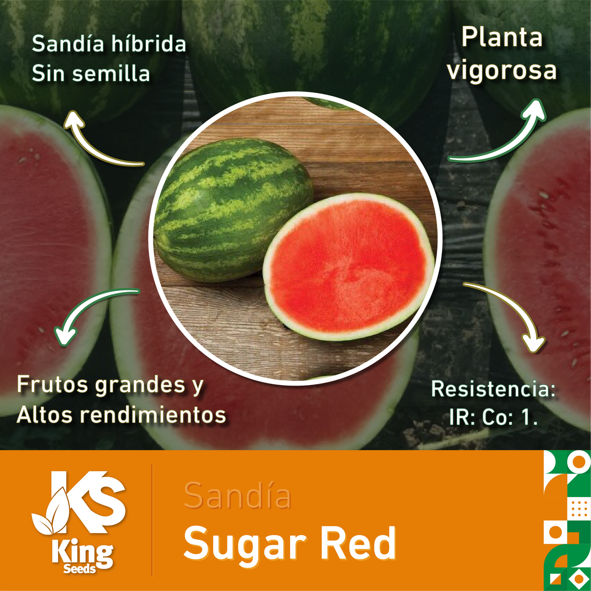 Sandia Sugar Red Sobre 5 Millares