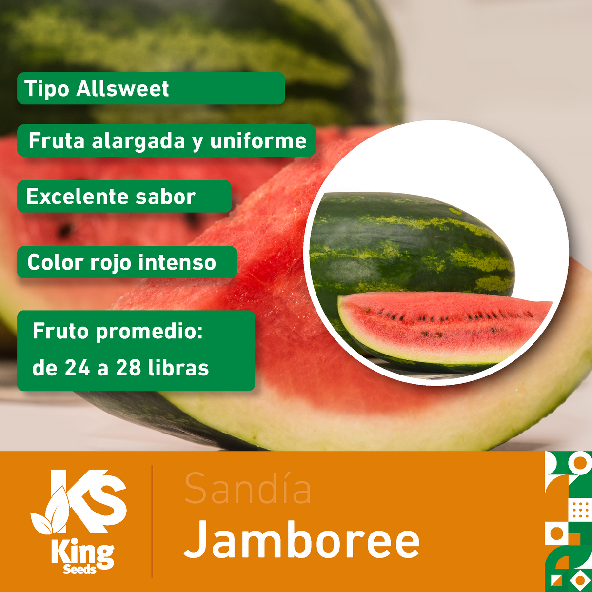 Sandia Jamboree Sobre 5 Millares