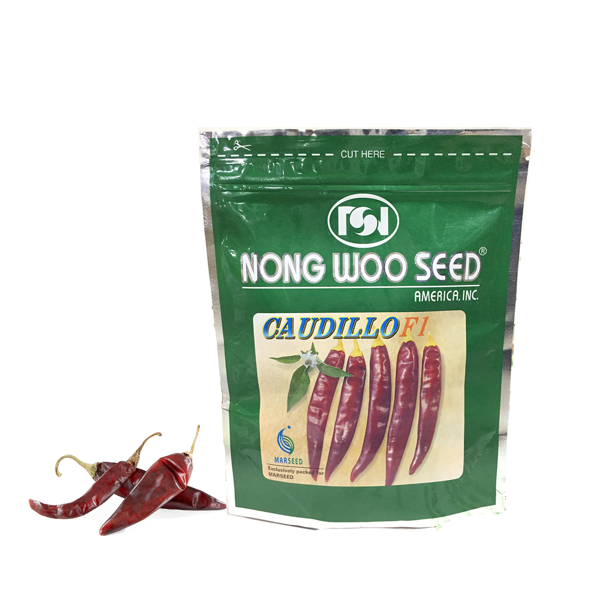 Chile Puya Caudillo Sobre 25 Millares