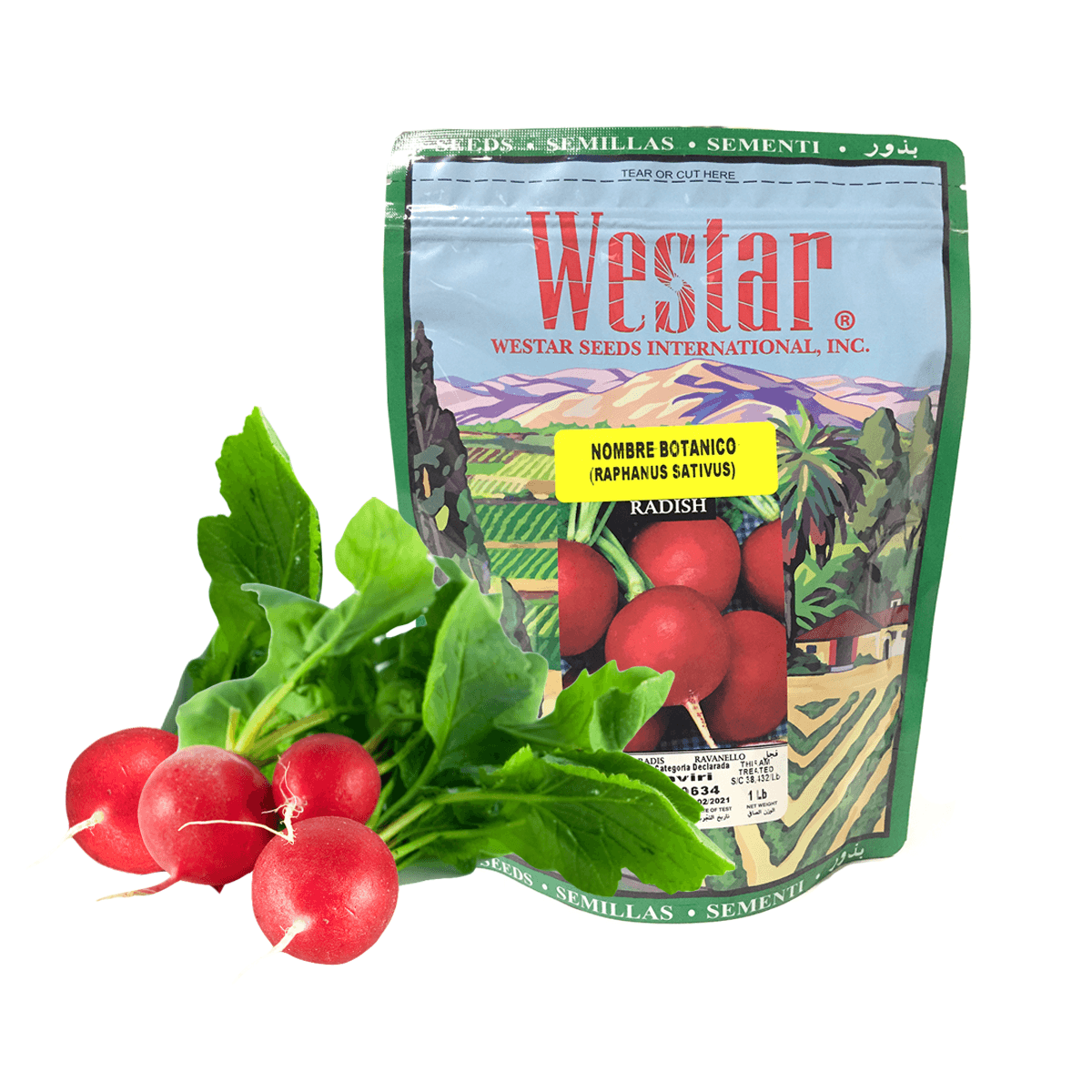 Rábano Maviri Sobre de 1 Libra