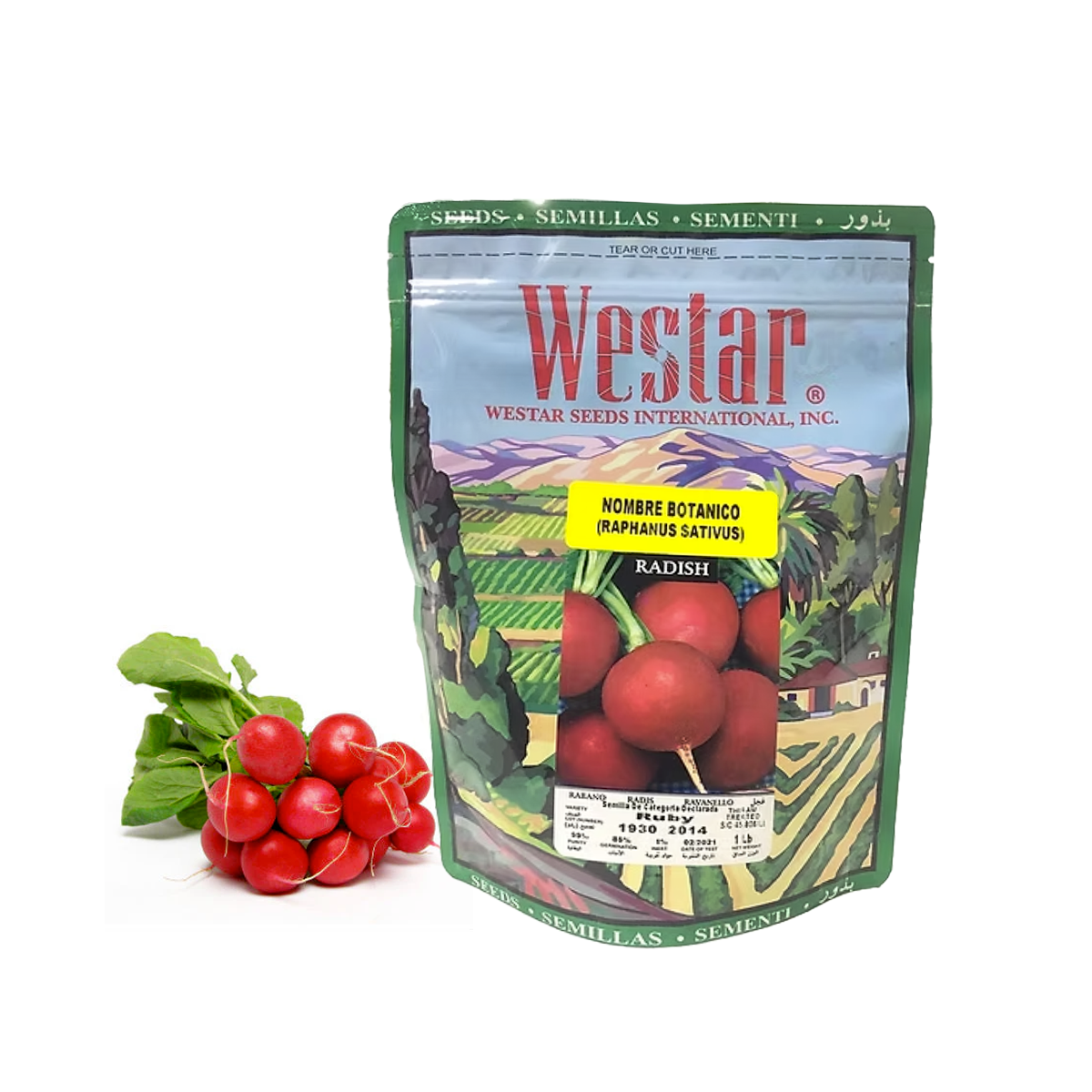 Rábano Ruby sobre 1 Lb