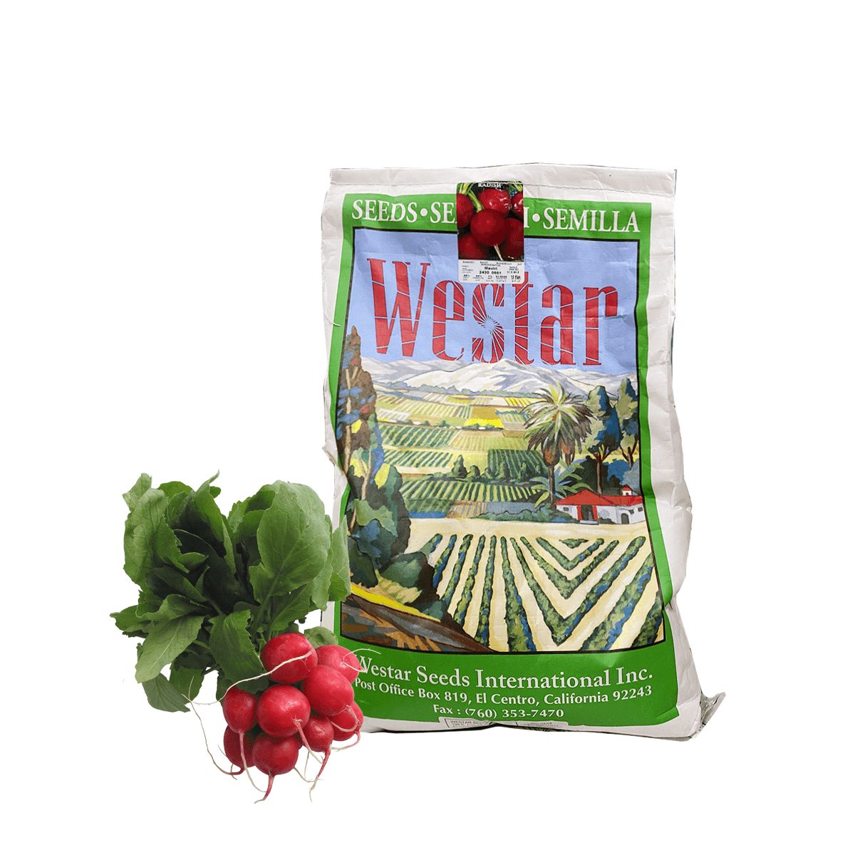 Rábano Maviri Saco de 10 Kg