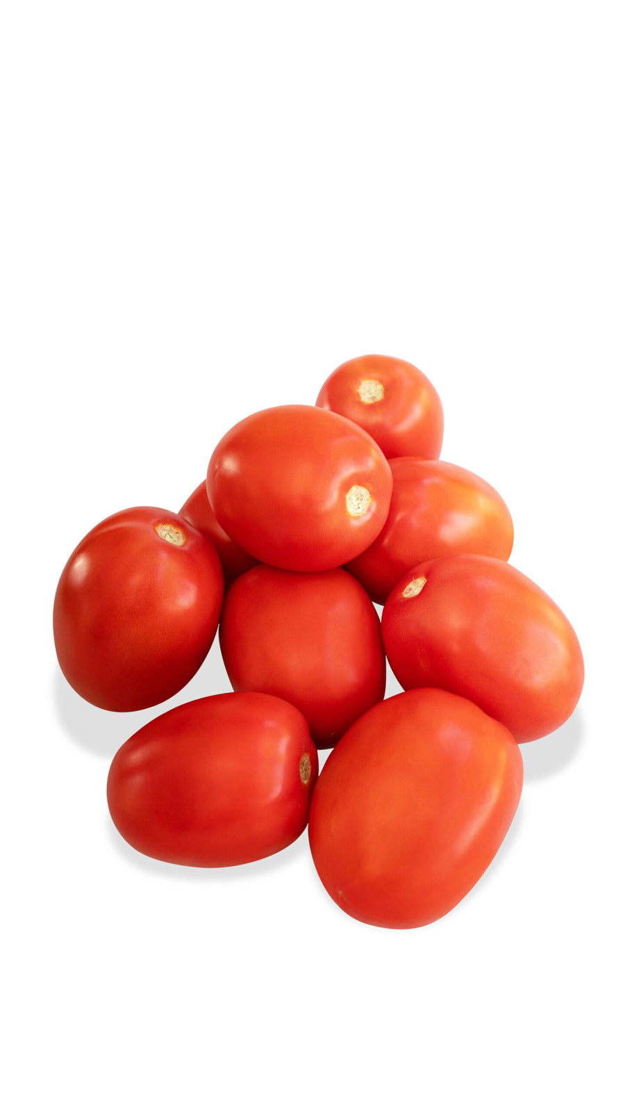 Tomate Rubeus Sobre 1 millar