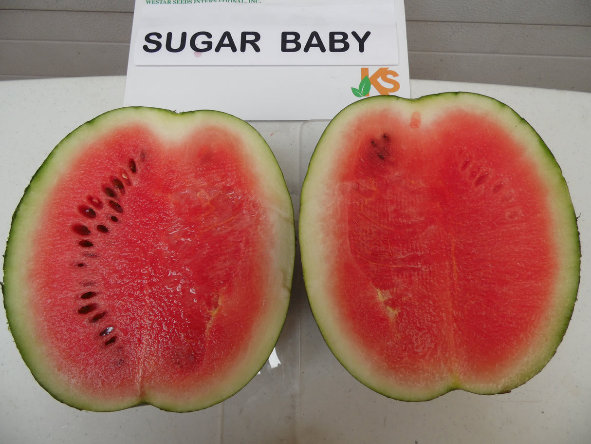 Sandia Sugar Baby Sobre 1 Lb
