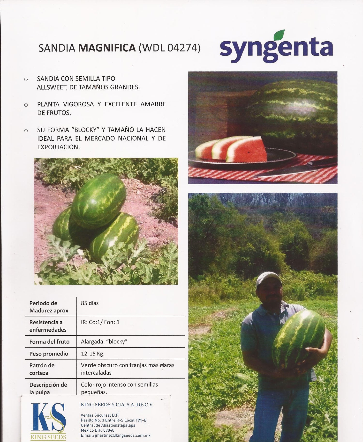 Sandia Magnifica Sobre 5 Millares