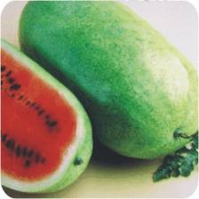 Sandia Charleston Grey Sobre 1Lb