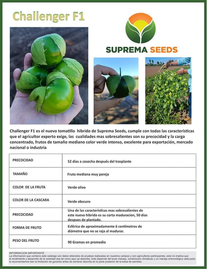 Tomatillo Challenger F1 Sobre 25 millares