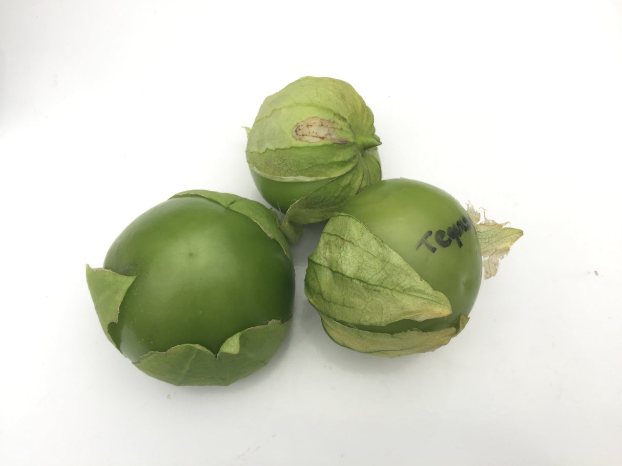 Tomatillo Tequisquiapan Sobre 100 millares