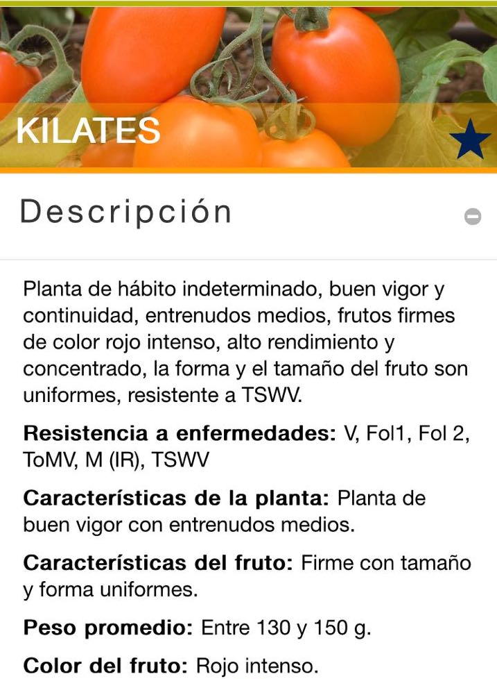 Tomate Kilates Sobre 1 Millar Descuento 25% (se aplica en el carrito)