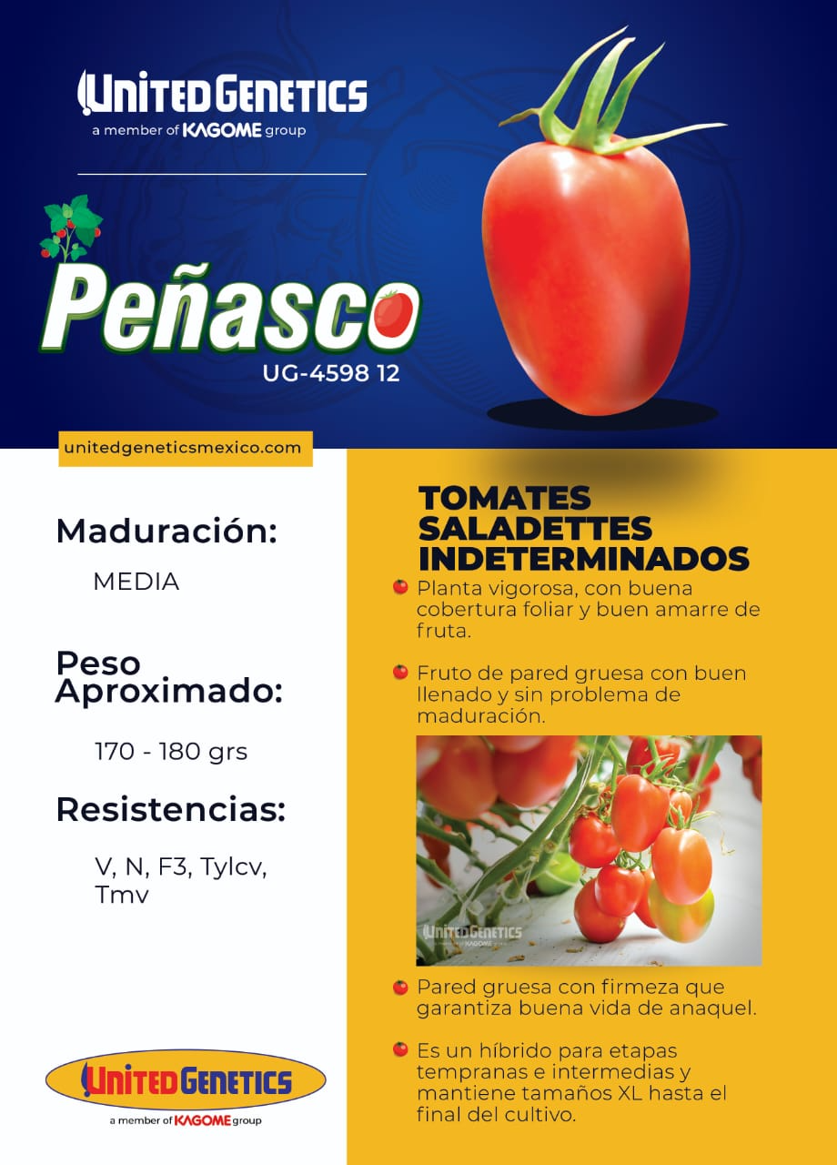 Tomate Peñasco Sobre 1 millar