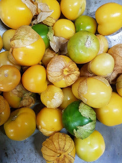 Tomatillo Manzano Supremo Sobre 100 millares