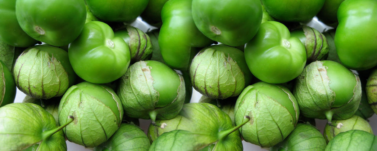 Tomatillo Majestic Sobre 25 millares