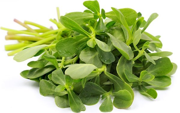 Verdolaga sobre de 1 Kg Sin tratamiento