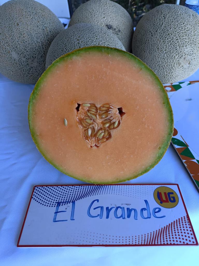 Melon El Grande sobre 15 millares