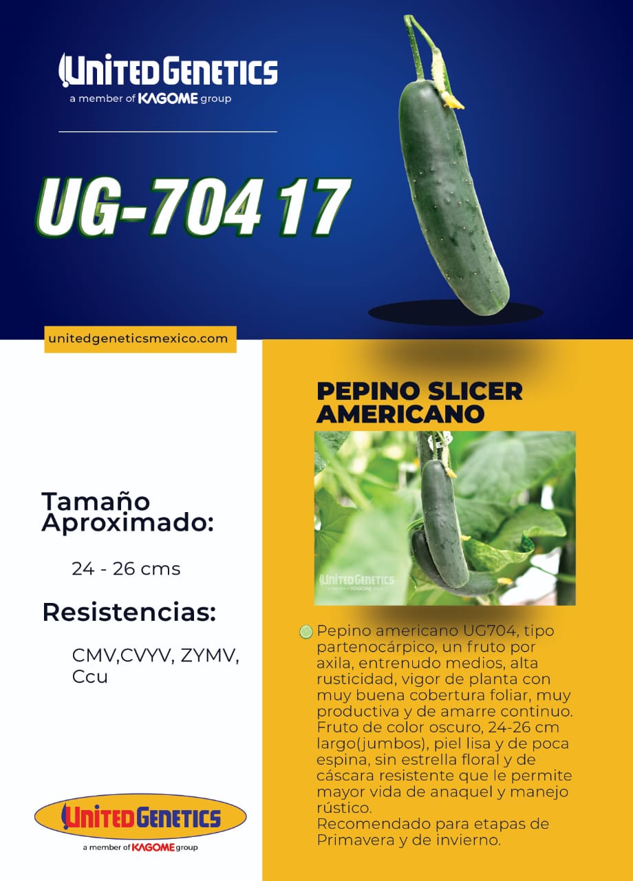 Pepino UG-704 Sobre 1 millar