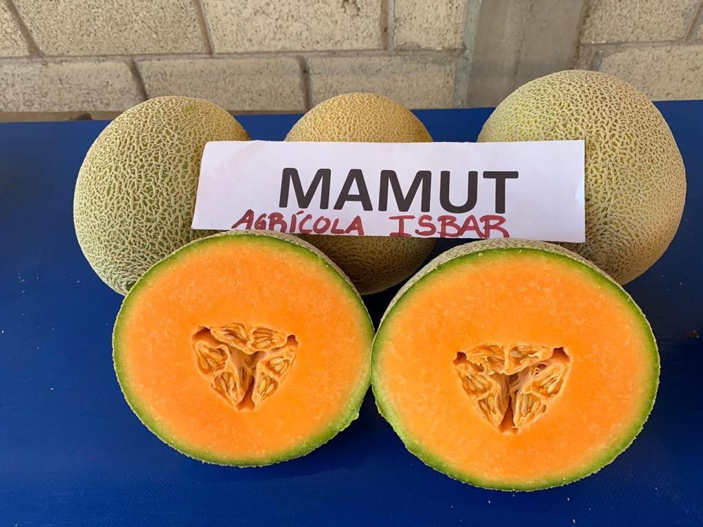 Melon Mamut Sobre 15Millar