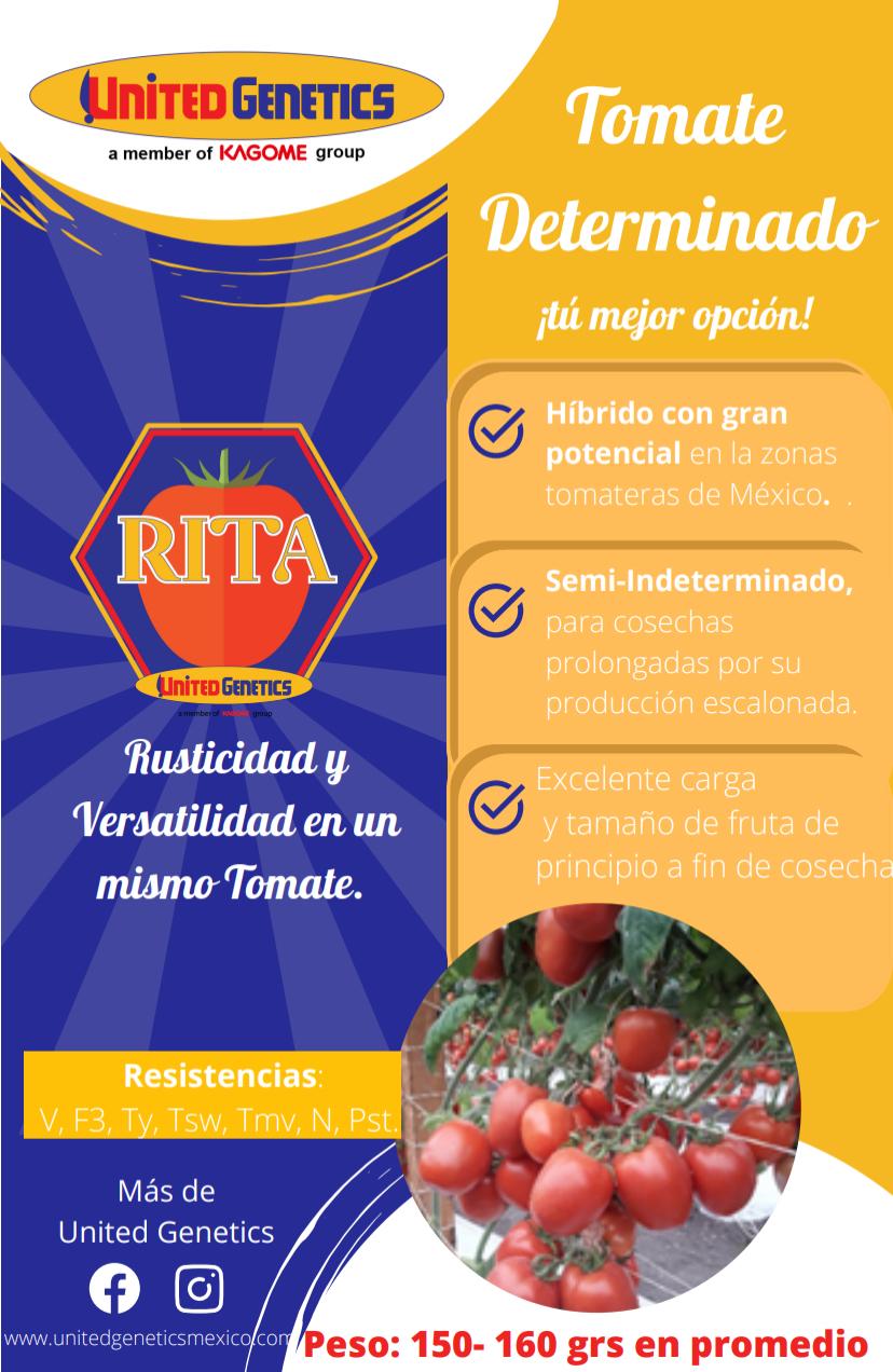 Tomate Rita sobre 1 millar