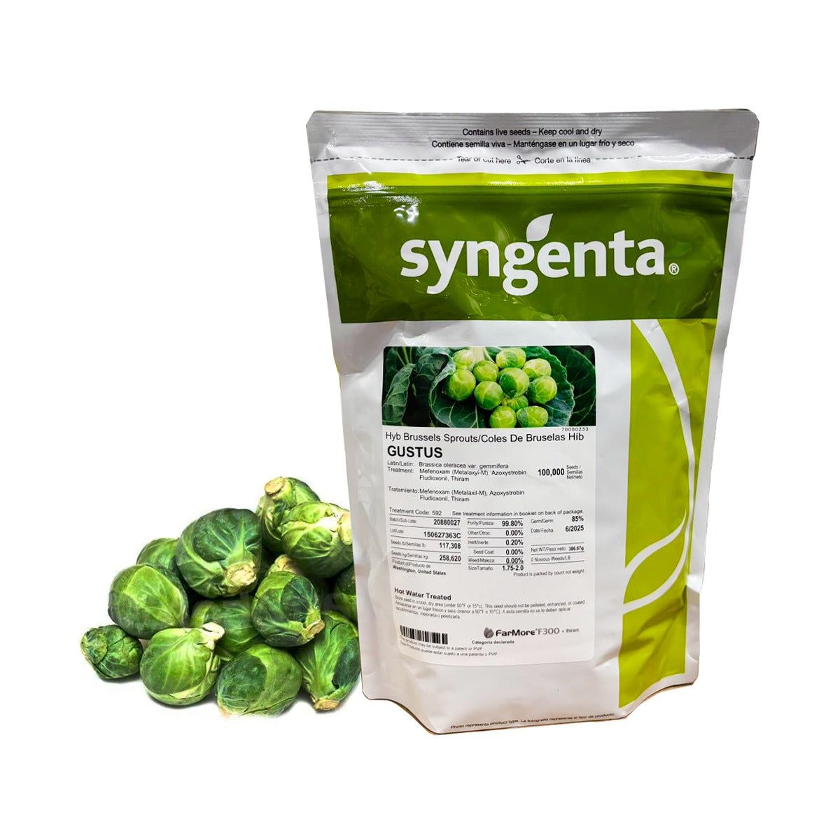 Col de Bruselas Gustus Sobre 100 millares