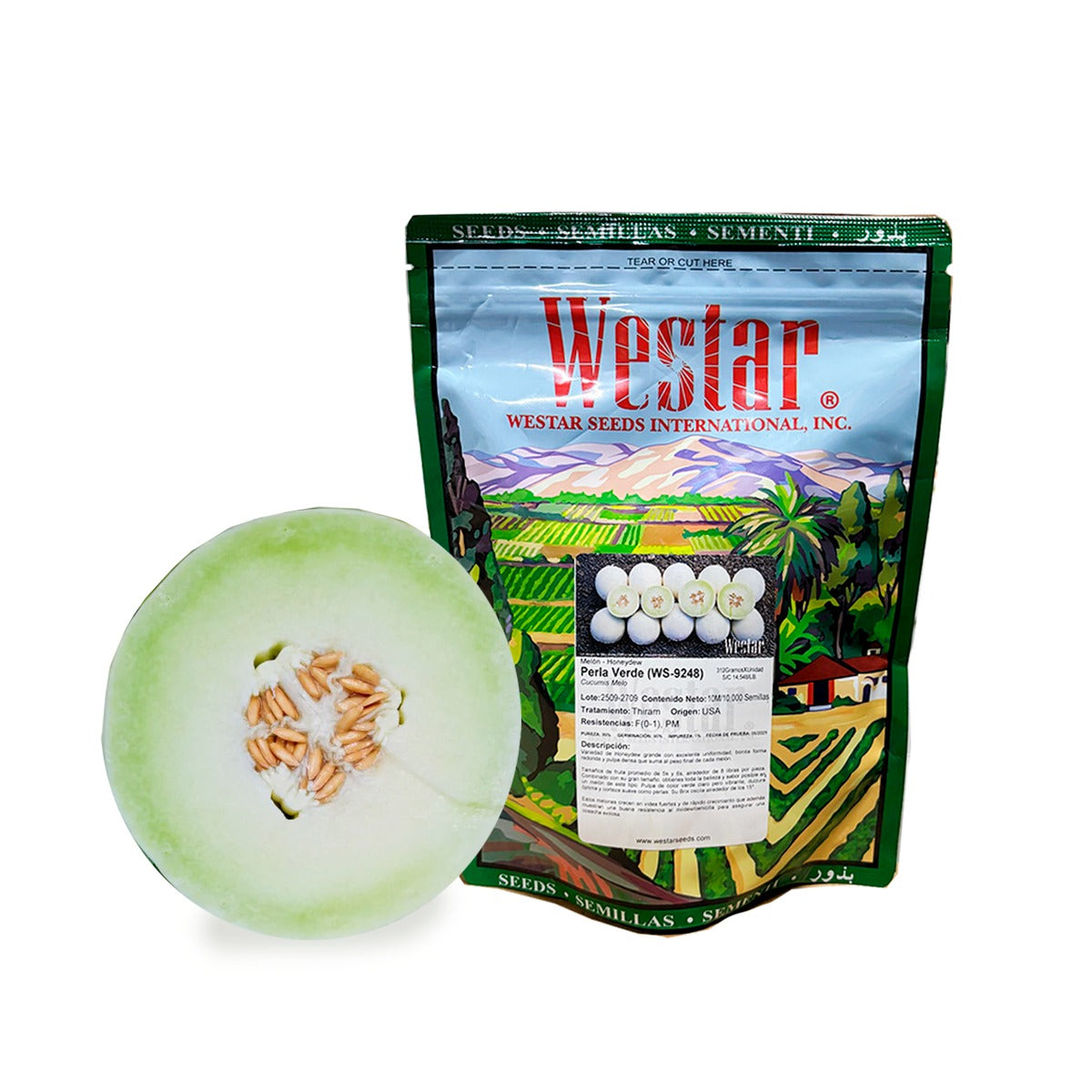 Melón Perla Verde Sobre 10 Millares