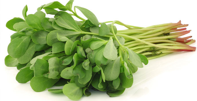 Verdolaga sobre de 1 Kg Sin tratamiento