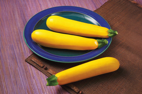 Calabaza Golden Delight Sobre 3 millares