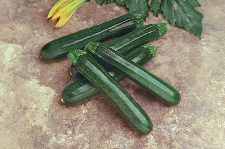 Calabaza Verde Noche Sobre 3 Millares