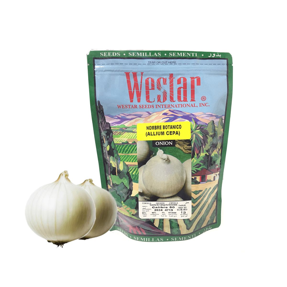 Cebolla Calibre 50 Sobre 1 Lb