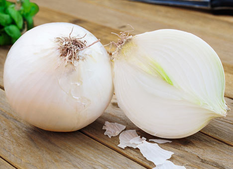 Cebolla Bianca F1 100 Millares
