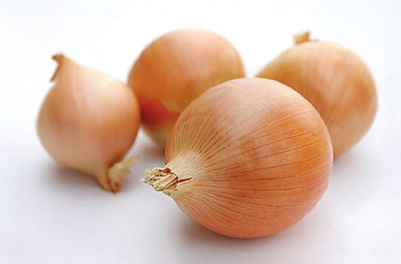 Cebolla Yellow Granex Sobre 100 Millares