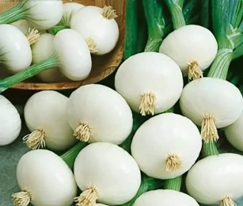 Cebolla Cristal White Wax Sobre 1 Lb