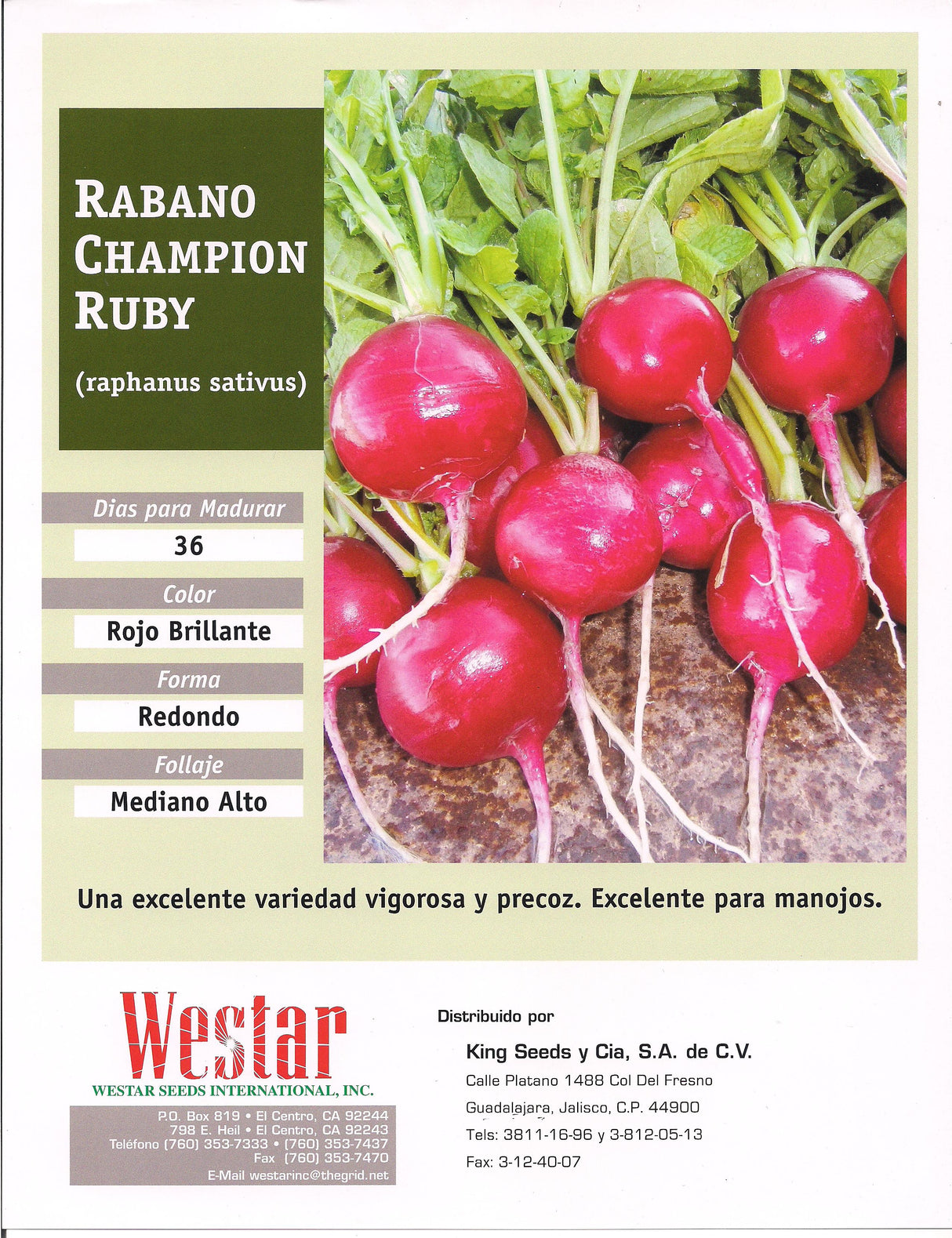Rábano Ruby Sobre 1 Lb. Promoción 20+1