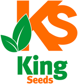 King Seeds Online